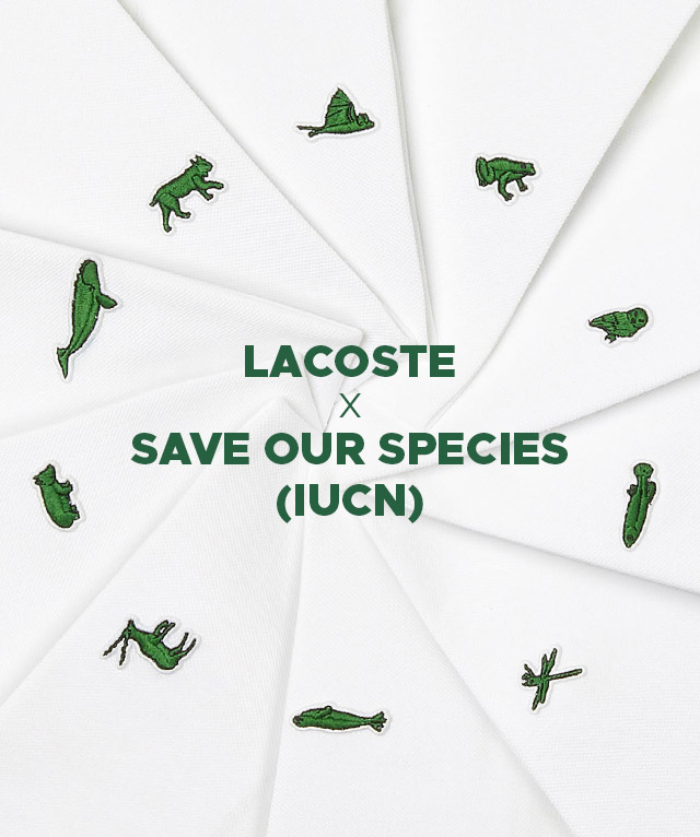 save our species lacoste buy