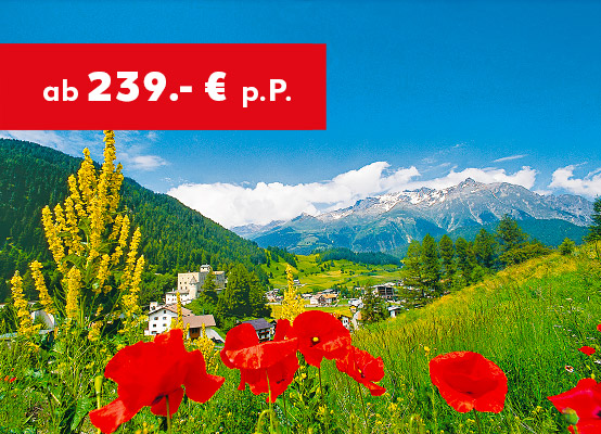Österreich, Tirol: 239 € p.P.