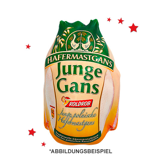 Poln. Hafermast-Gänse