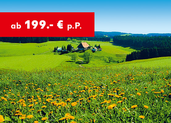 Schwarzwald: Rundreise: ab 199 € p.P. 