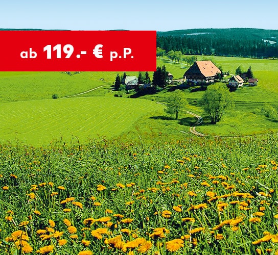 Schwarzwald ab 119 € p. P.