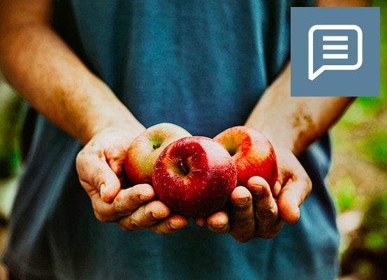 Magazin: E-Book vegan