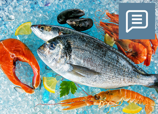 Online-Magazin: Tipps zum Fischkauf