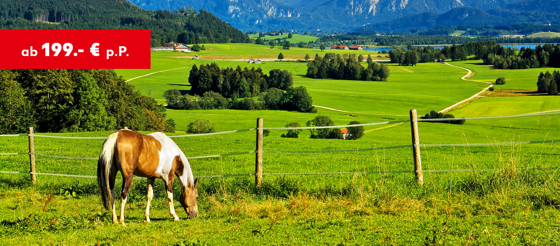 Allgäu: ab 199 € p.P.