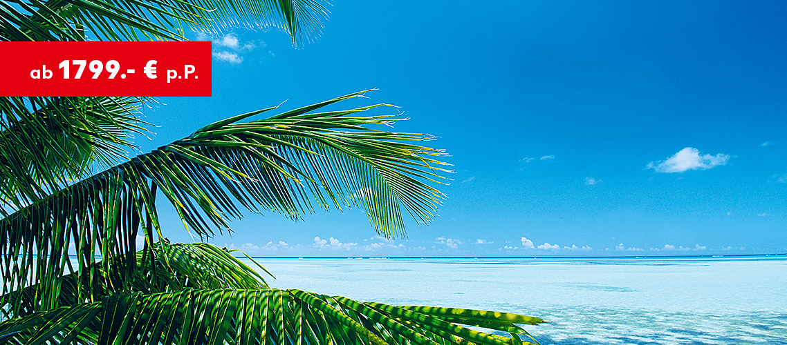 Bahamas: Paradise Island ab 1.799 € p.P.