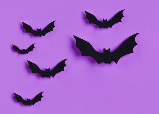Online-Magazin: E-Book Halloween