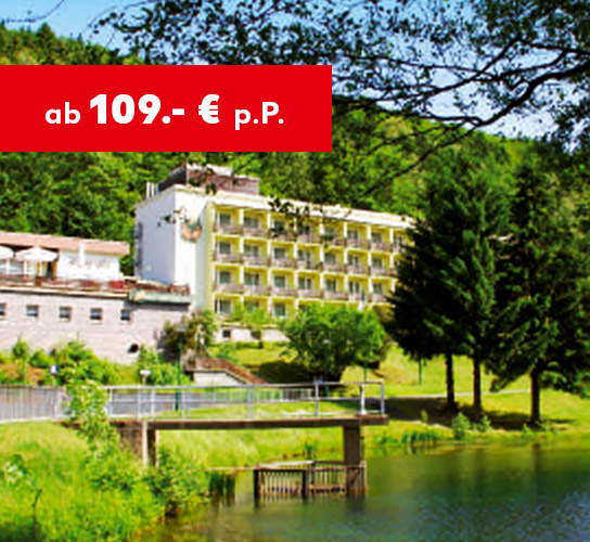 Vogtland ab 109,- € p.P.