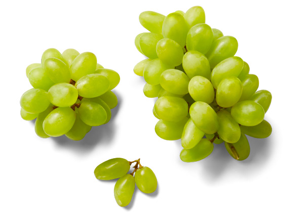ITALIENISCHE/SPANISCHE TAFELTRAUBEN