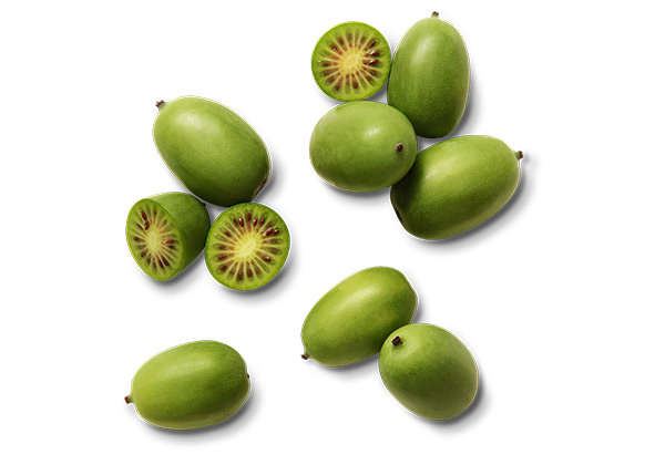ITALIENISCHE KIWIBEEREN