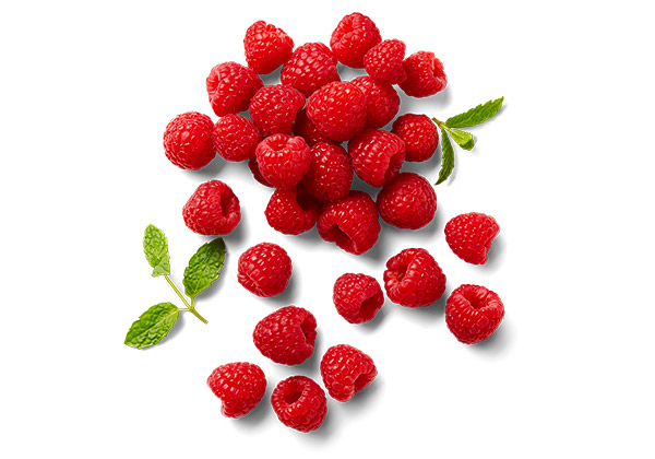SPANISCHE/MAROKKANISCHE HIMBEEREN