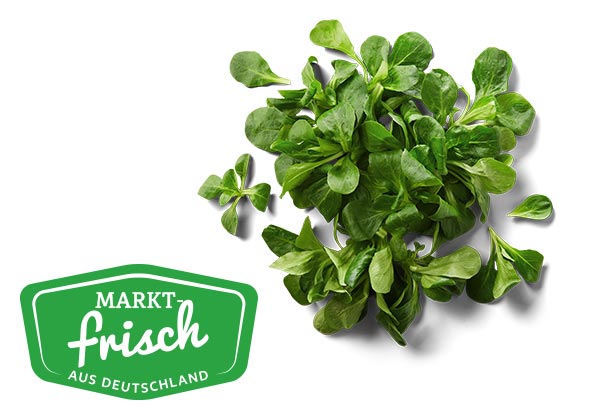 deutscher Feldsalat