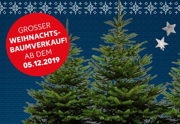 Weihnachtsbaum in Ihrer Filiale kaufen