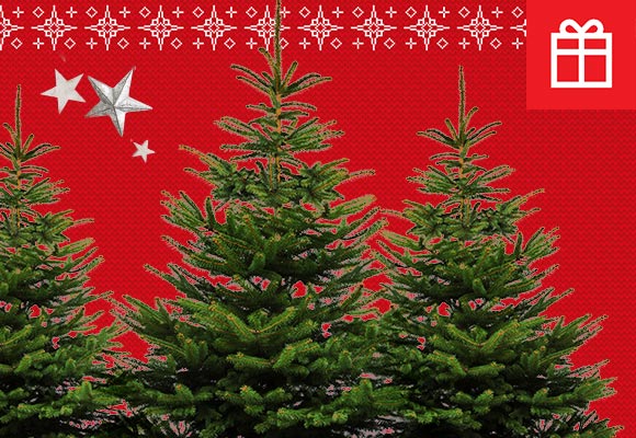 Weihnachtsbaum online bestellen