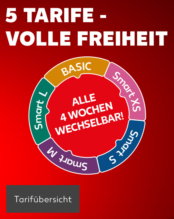 Tarifübersicht als Kreis