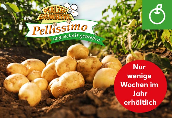 Produktabbildung: deutsche Speisefrühkartoffel „Pellissimo”; Hinweis: Nur wenige Wochen im Jahr erhältlich