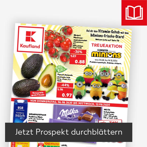 Titelbild Kaufland-Prospekt