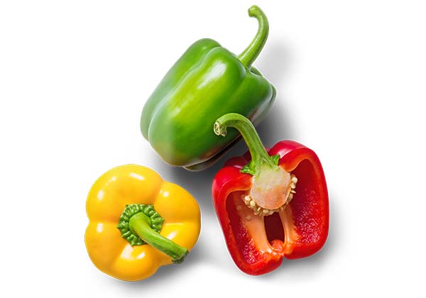 Span./niederl. Paprika