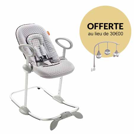 cybex pallas m fix aubert