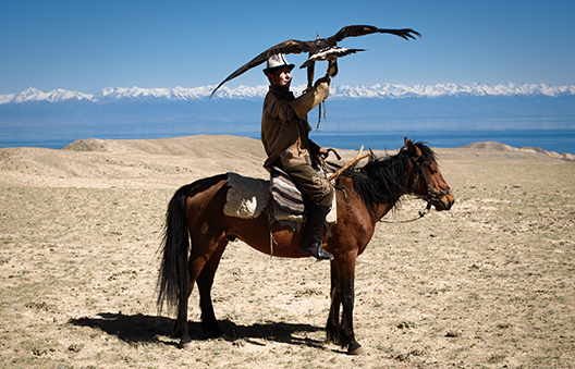 Kaderdin, fauconnier de 45 ans, chasse avec son aigle Sergak, 4 ans, autour du lac d’Issyk Kul