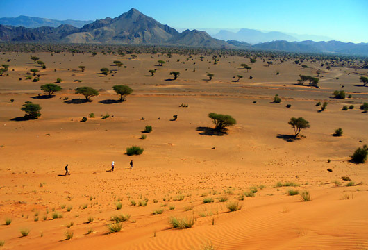 Désert, oasis et wadis d’Oman © E. Najman
