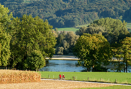 Lac de Constance : vélo, découvertes et baignades © Radwegservice
