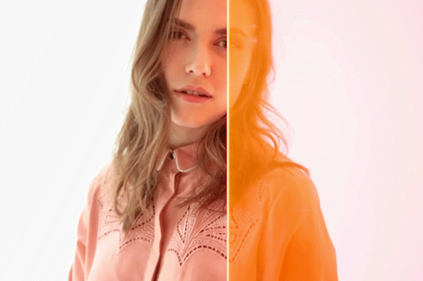 La vie en rose