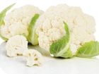 Frische-Vielfalt