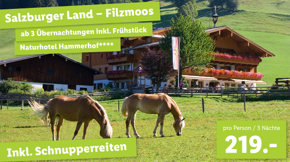 Salzburger Land - Filzmoos