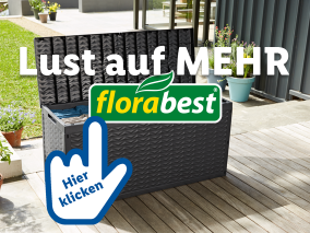 Hier klicken für mehr