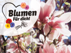 Blumenmarkt