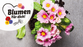 Blumenmarkt
