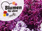 Blumen für dich!