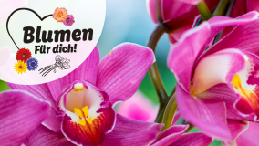 Blumen für dich!