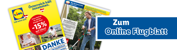 Online Flugblatt