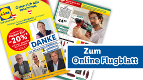 Online Flugblatt