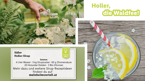 Hollersirup selber machen