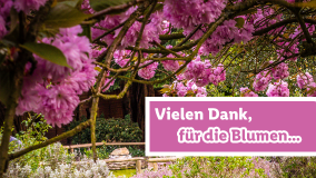 Blumen für dich