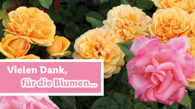 Blumen für dich