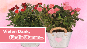 Blumen für dich