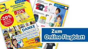 Online Flugblatt