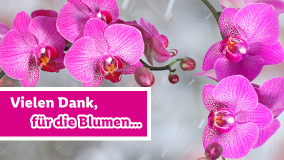 Blumen für dich