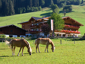 SALZBURGER LAND - FILZMOOS