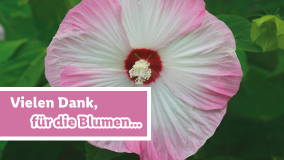 Blumen für dich