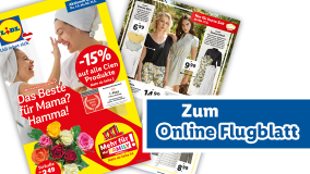 Online Flugblatt