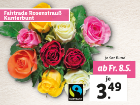 Fairtrade Rosenstrauß Kunterbunt