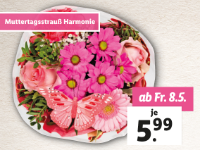 Muttertagsstrauß Harmonie