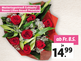 Roter Rosenstrauß Exklusiv