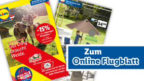 Online Flugblatt