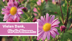 Blumen für dich