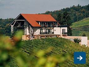 WEINGENUSS - SÜDSTEIERMARK